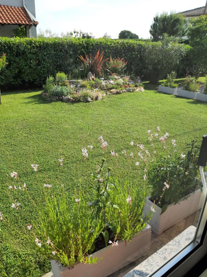 Apartman Olga Umag Luaran gambar