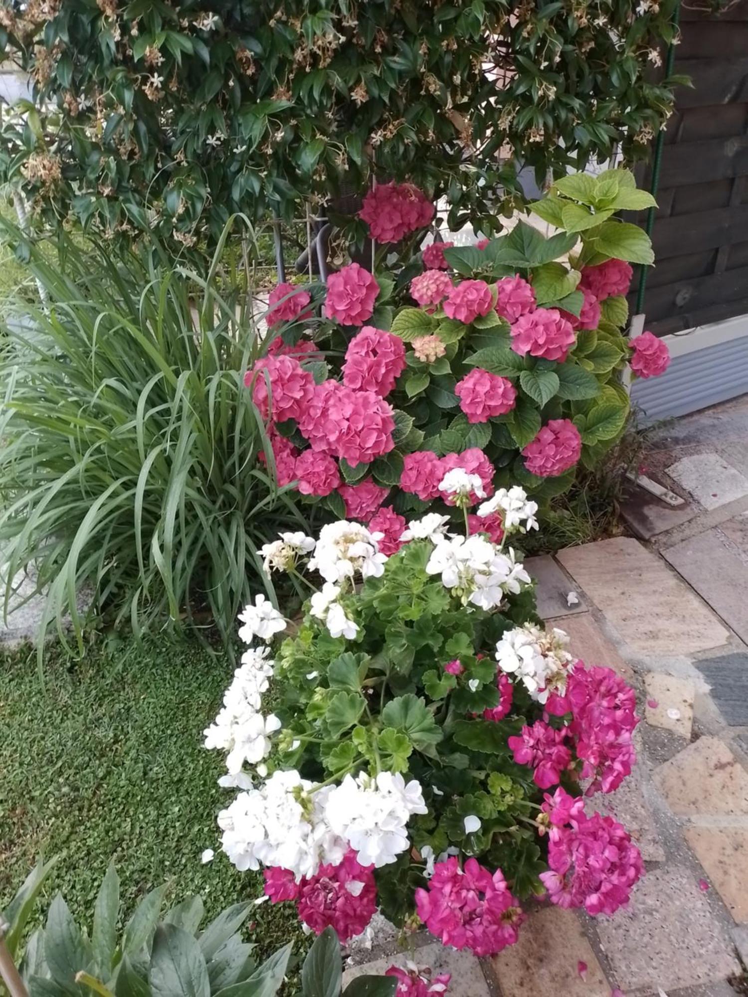 Apartman Olga Umag Luaran gambar